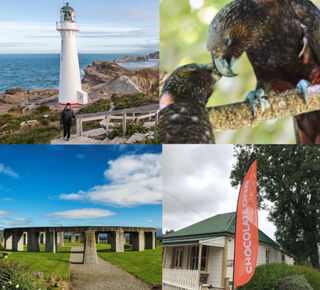Wairarapa One Day Guided Tour - Castlepoint