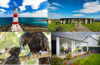 Greytown & Wairarapa Five Day Group Tour