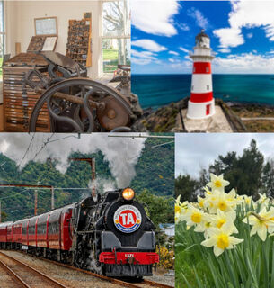 Greytown & Wairarapa Guided Tour - Carterton Daffodil Festival