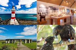 Greytown and Wairarapa Two Day Guided Tour